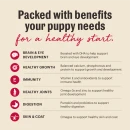 Packed with benefits