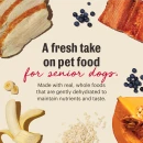 A fresh take on pet food for senior dogs