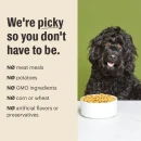 No harmful ingredients
