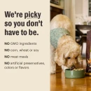 No harmful ingredients