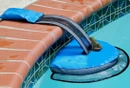 FrogLog- Critter Saving Escape Ramp