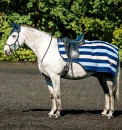 Horseware® Newmarket Exercise Quarter Sheet Witney Navy