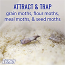 Moths Moths