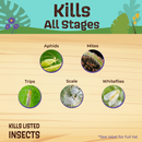 Kills Kills