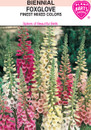 digitalis foxglove