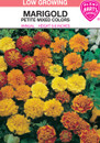 petite mixed marigold