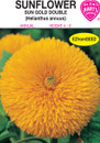sun gold sunflower