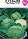 savoy perfection cabbage