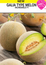 galia melon