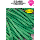 Hart's Tendergreen Stringless Bush Bean