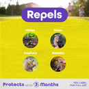Repells Repells