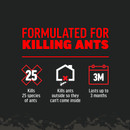 24 species of ants 24 species of ants