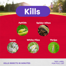 Kills Kills