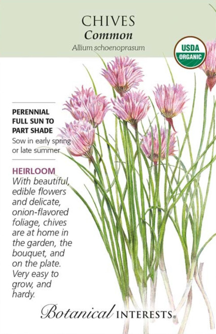 Common Chives Organic