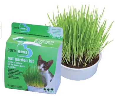 Van Ness Oat Garden Kit