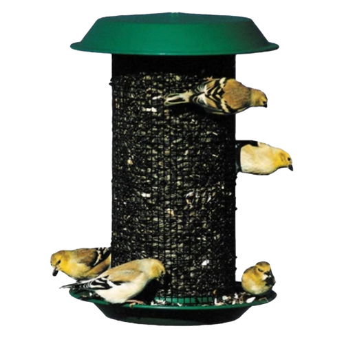 Magnum Plastic Sunflower Screen Feeder