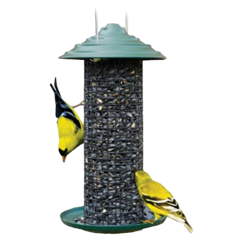 Mini Magnum Metal Sunflower Screen Feeder