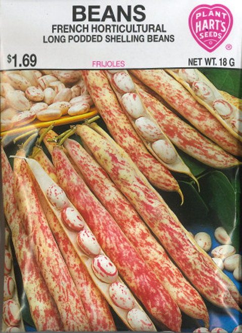 French Horticultural Long Podded Shelling Bean