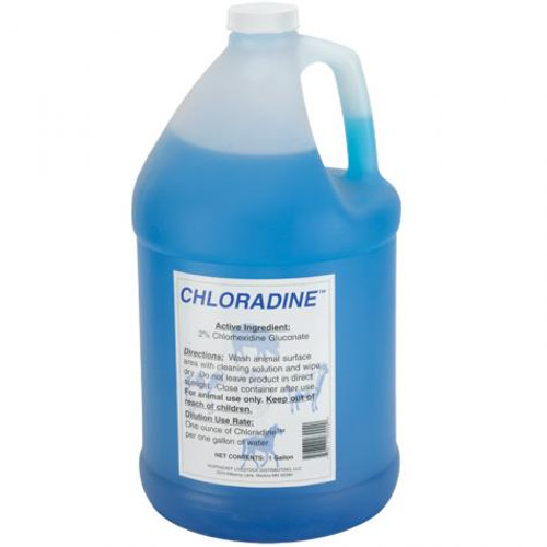 Chloradine Disinfectant 2% Chlorhexidine Gluconate - 1 gal