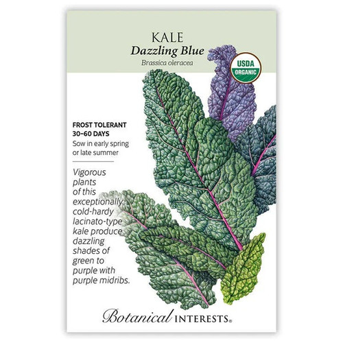 Dazzling Blue Kale Seeds Organic