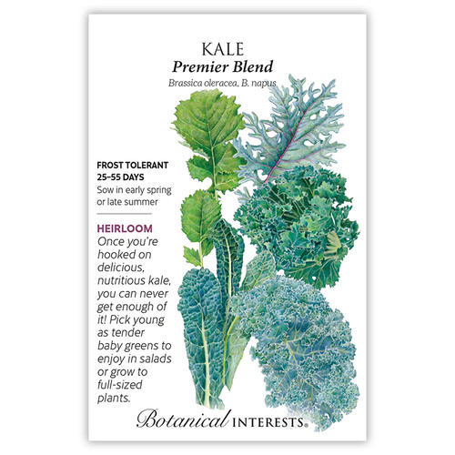 Premier Blend Kale Seeds - Heirloom