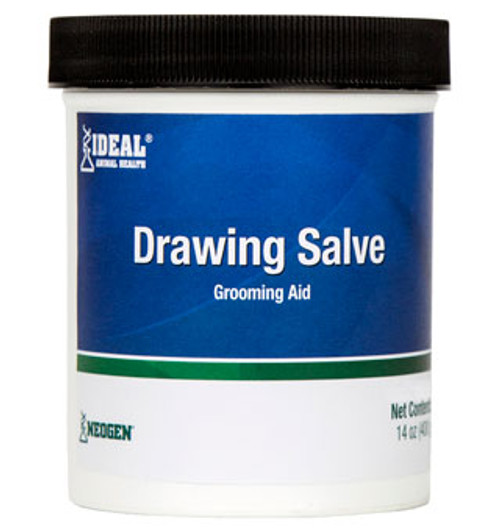 Drawing Salve - 14 oz
