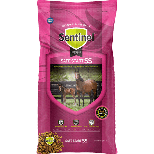 Blue Seal Sentinel Safe Start