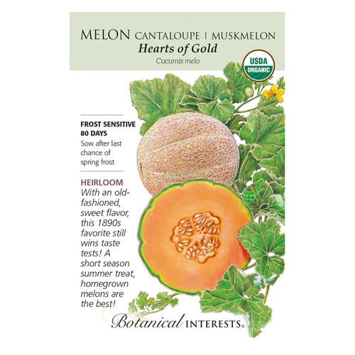 Hearts of Gold Cantaloupe Melon Seeds Organic