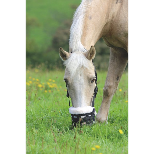 Shires Deluxe Grazing Muzzle