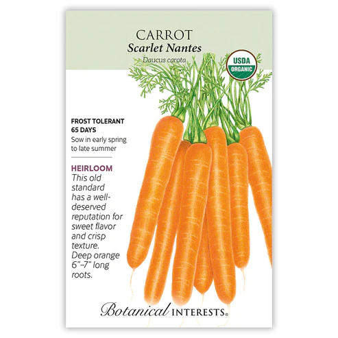 Scarlet Nantes Carrot Seeds Organic