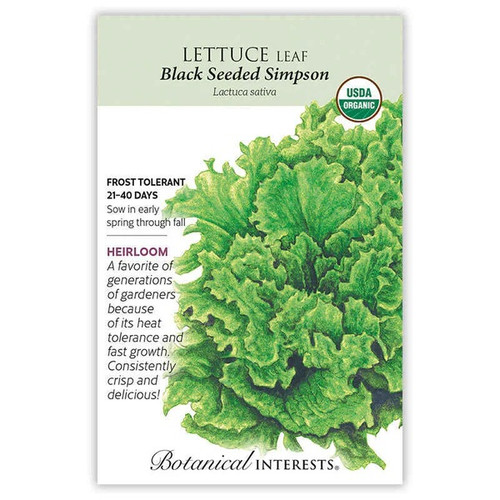 Black Seeded Simpson Leaf Lettuce Seeds Organic