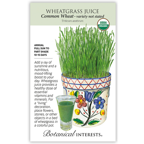 Wheatgrass Juice Seeds Organic