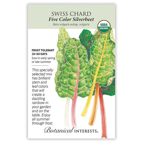 Five Color Silverbeet Swiss Chard Seeds Organic