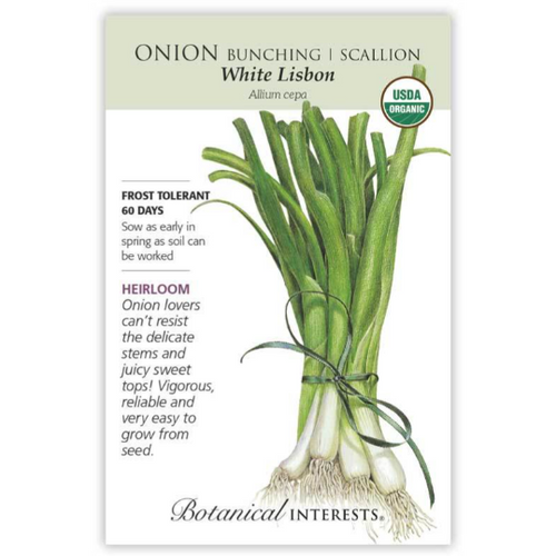 Heirloom White Lisbon Bunching/Scallion Onion Seeds Organic