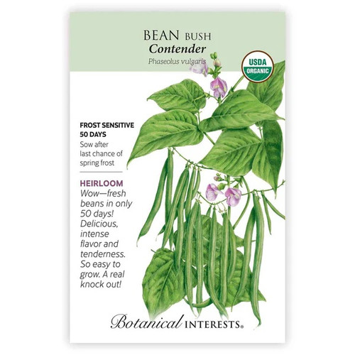 Contender Bush Bean Seeds Organic