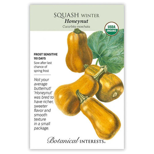 Honeynut Winter Squash Seeds Organic