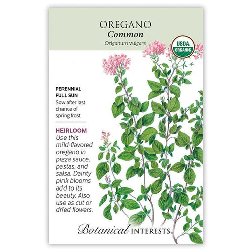 Common Oregano Seeds Organic