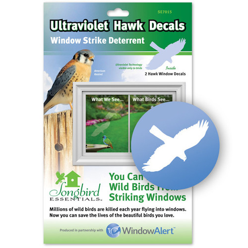 Window Alert Hawk Decal