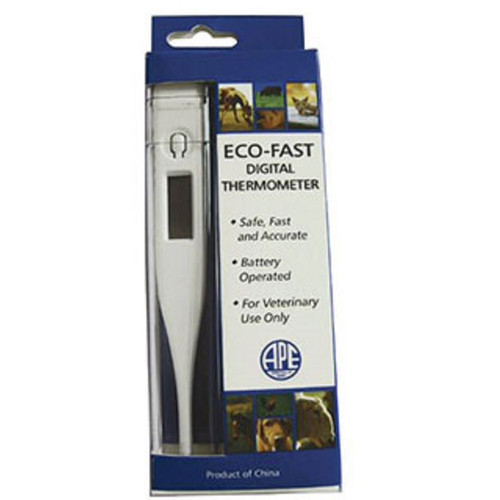 Eco-Fast Digital Thermometer