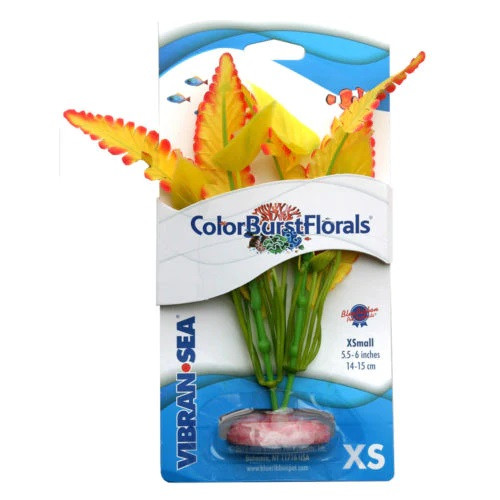 Color Burst Florals Ferndale Silk Plant - xs