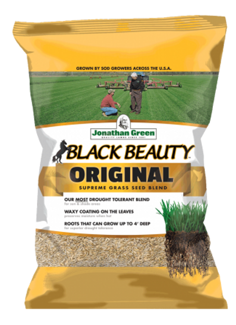Black Beauty Grass Seed