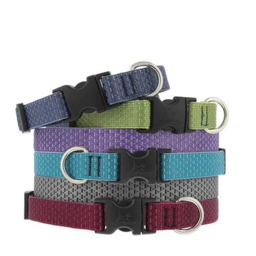 Lupine Eco Dog Collar