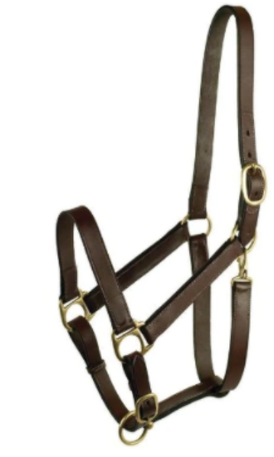 Gatsby Stable Halter With Snap