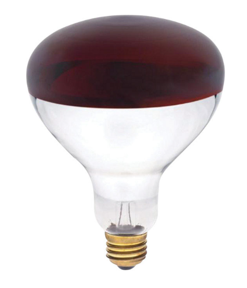 Westinghouse Reflector/Heat Lamp 250-Watt Incandescent Bulb