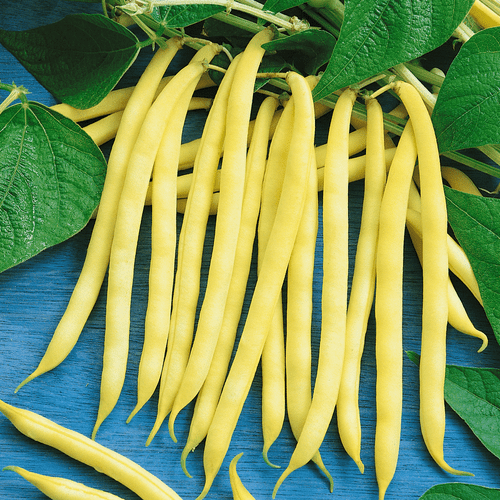 wax beans