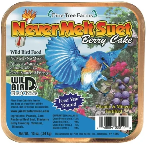 Pine Tree Farms® Never Melt Berry Cake
