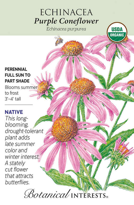 Echinacea Purple Coneflower Seeds