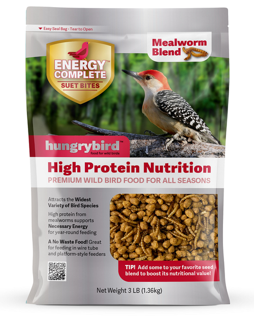 hungrybird Mealworm Energy Complete™ High Protein Suet Bites - Mealworm Blend
