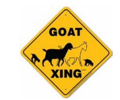 Goat Crossing Sign
