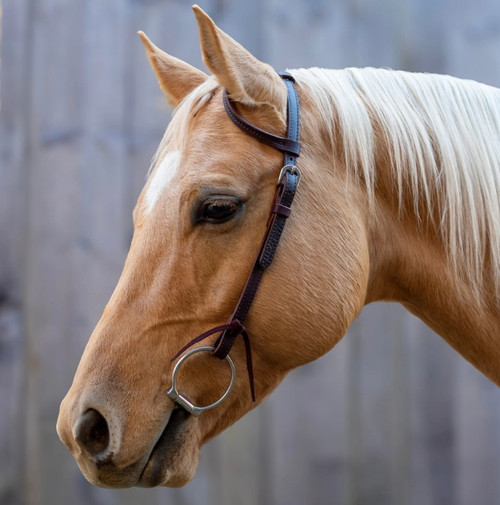 Velociti One Ear Headstall-Dark Oil